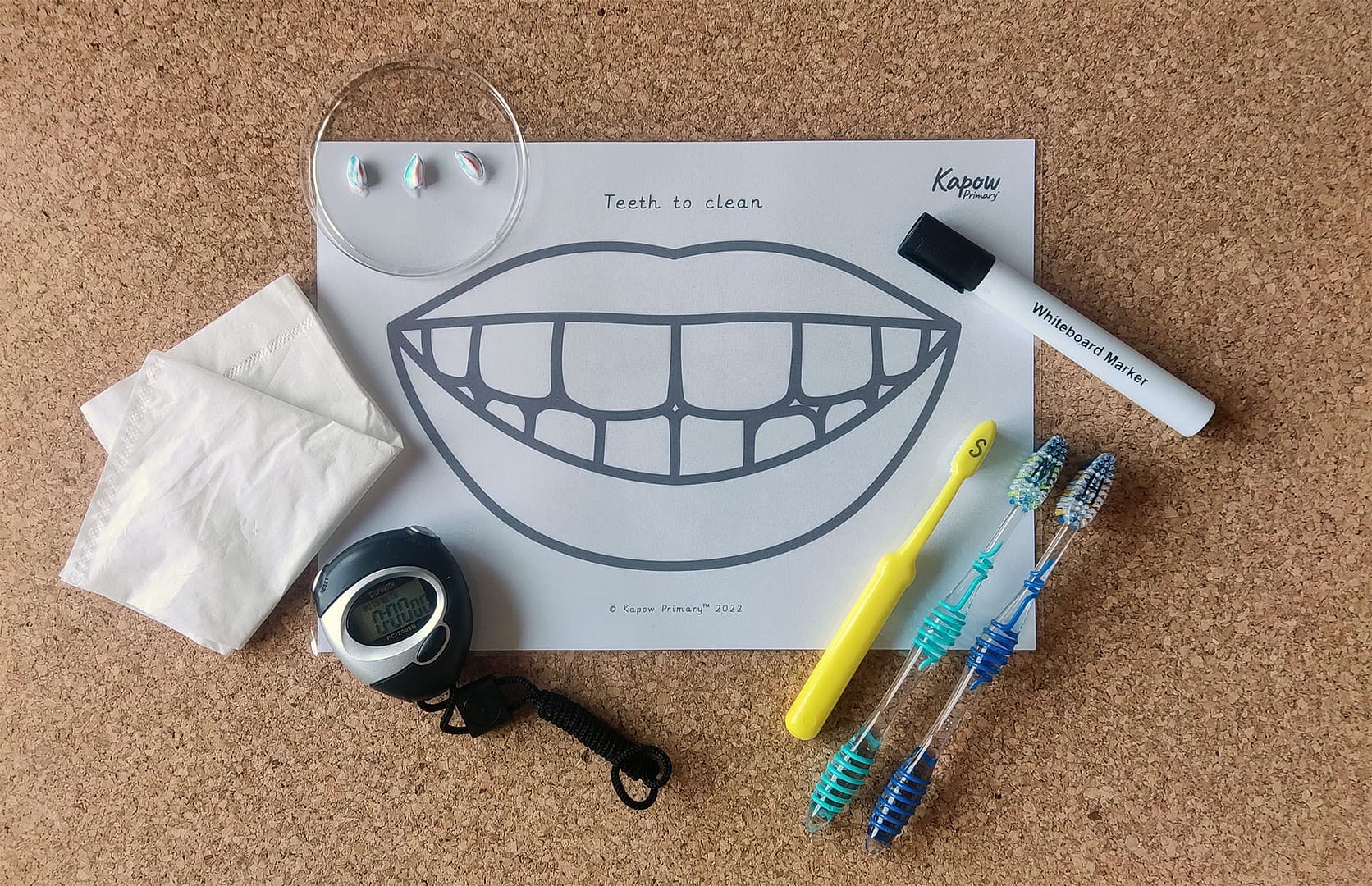 Lesson 3: Investigating dental hygiene