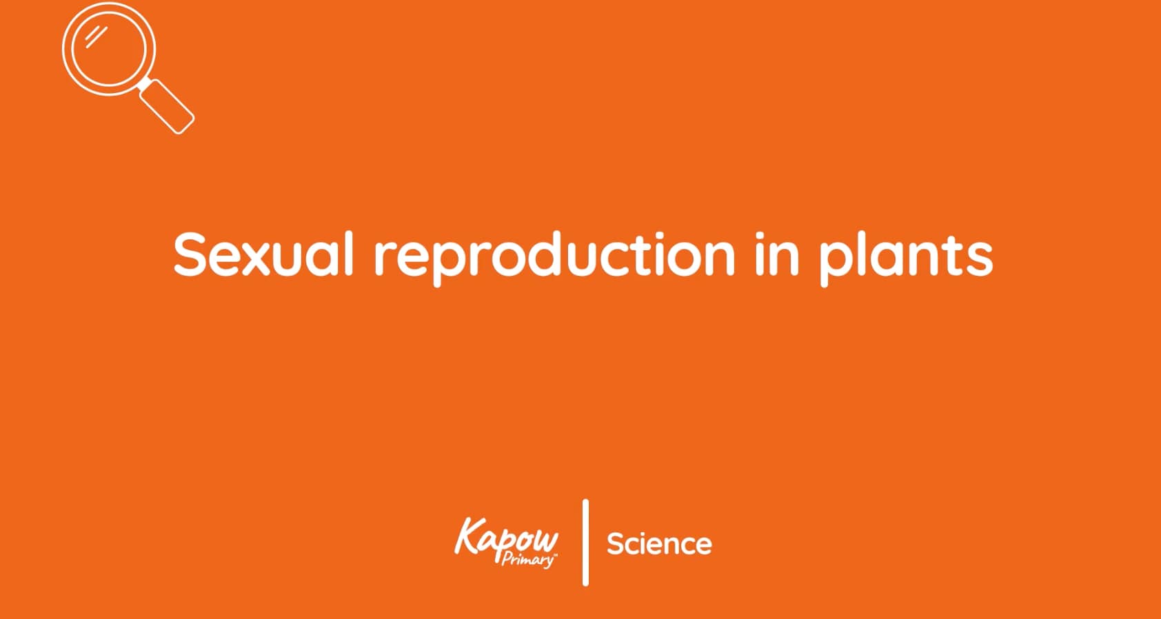 Pupil video: Sexual reproduction in plants