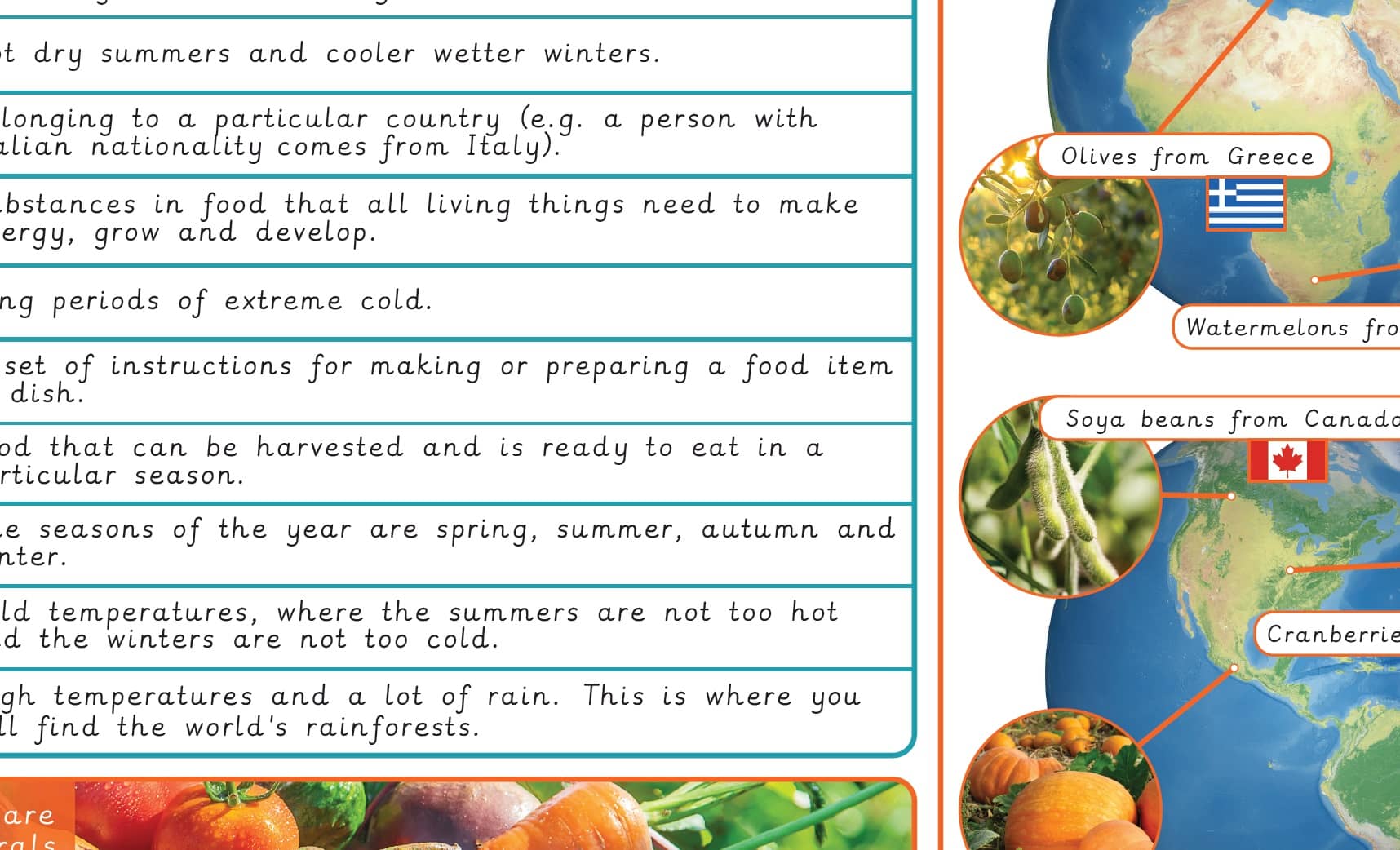 Knowledge organiser: DT – Y3 Eating seasonally