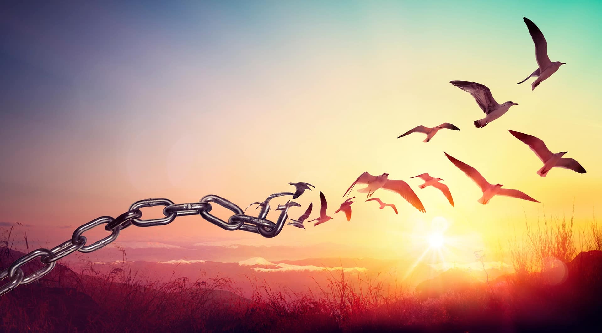 Lesson 5: What is freedom of religion or belief?