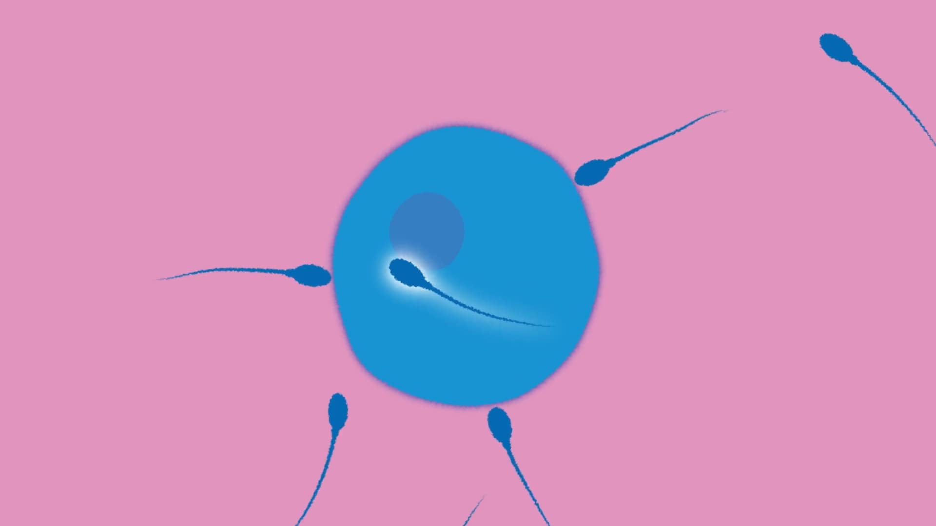 RSE Pupil video: Conception (voiced by a man) Year 6