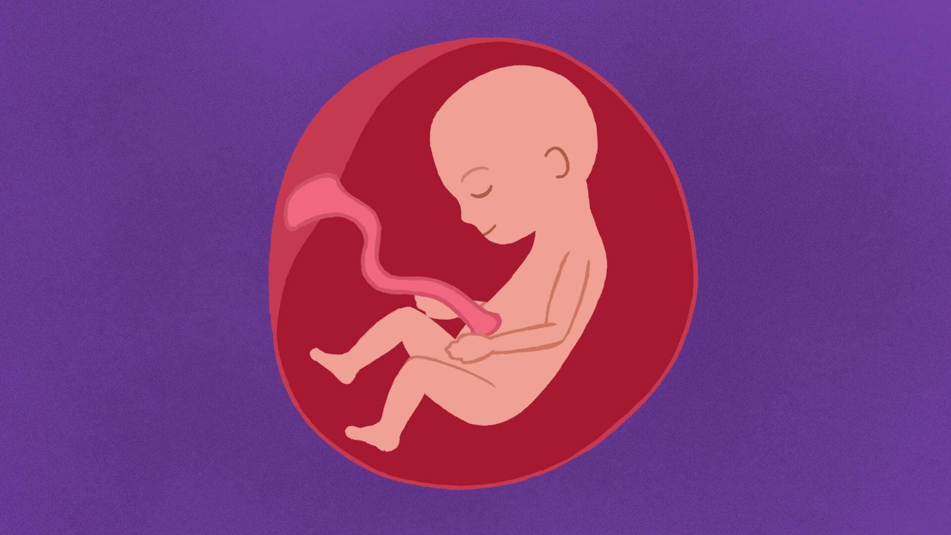 RSE Pupil video: Pregnancy and birth Year 6