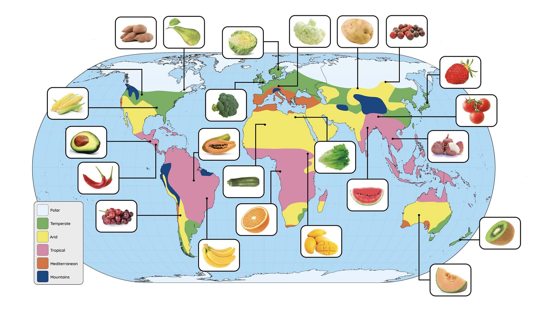 Lesson 1: Food around the world