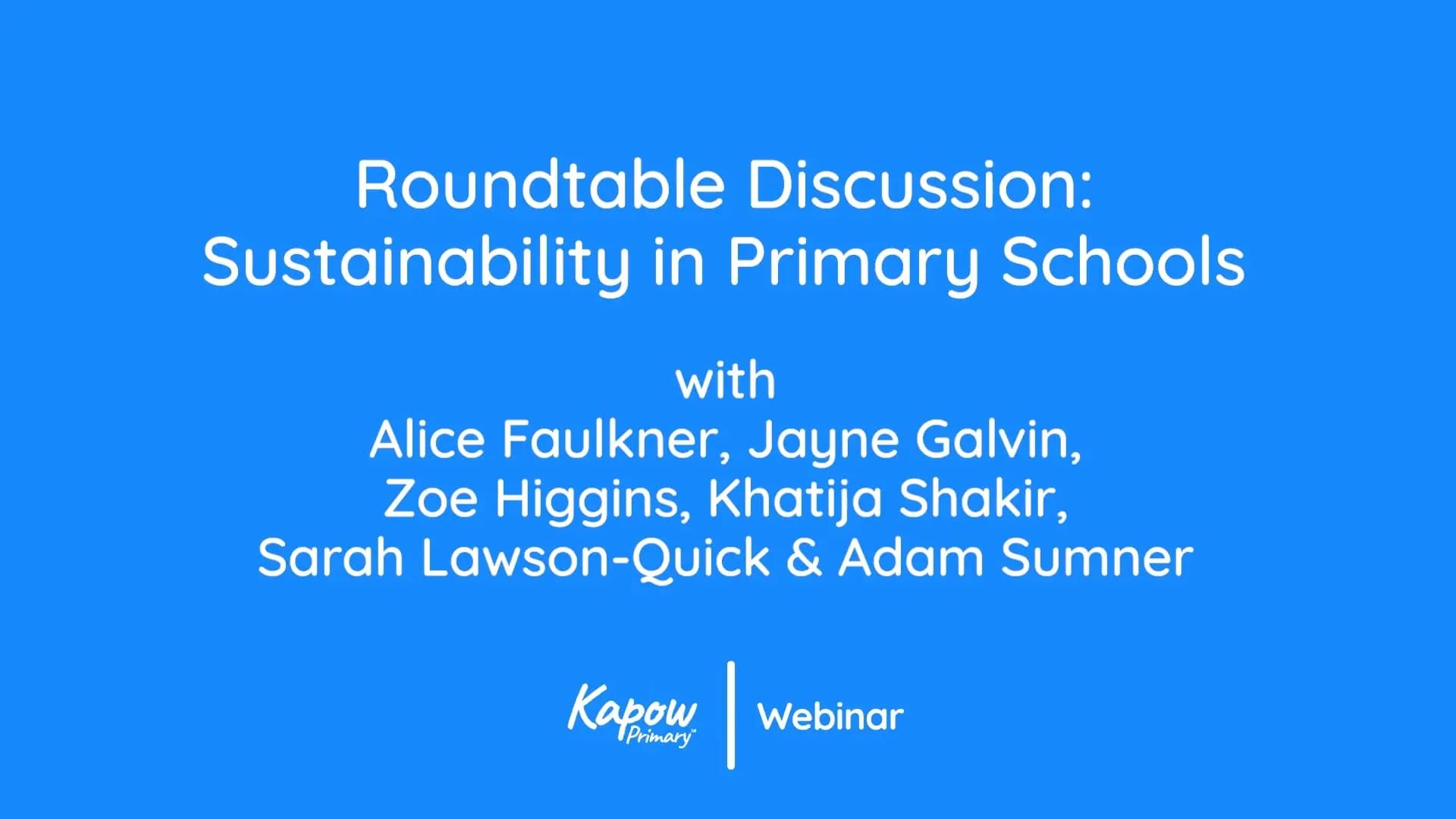 Webinar: Sustainability in Primary Schools: A Roundtable Discussion