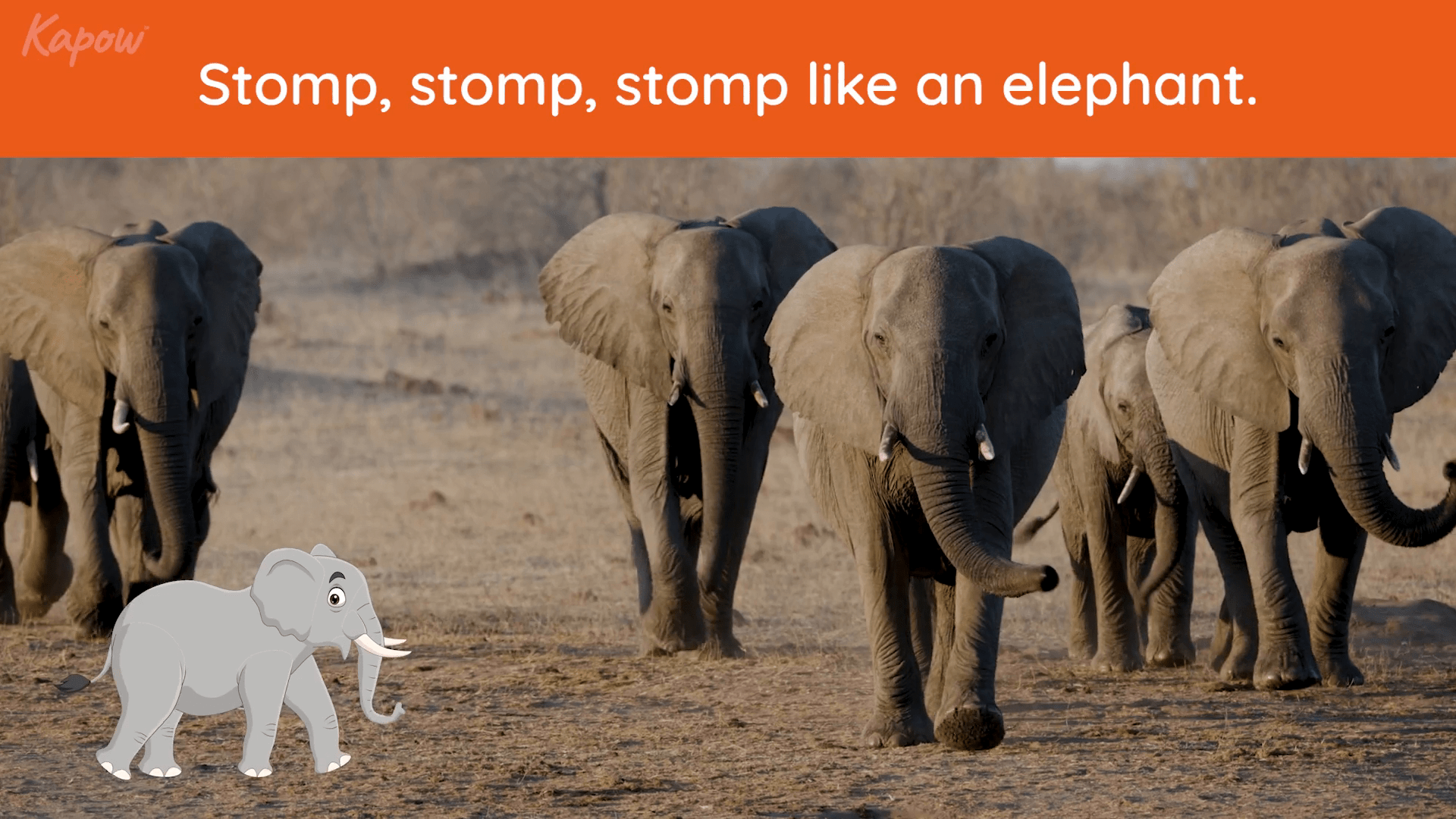Pupil video: Move like an animal