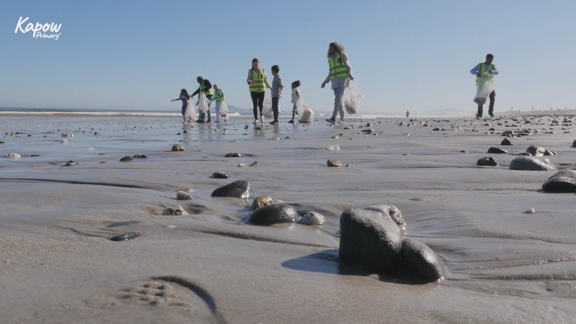 Teacher video: Fieldwork in a marine environment