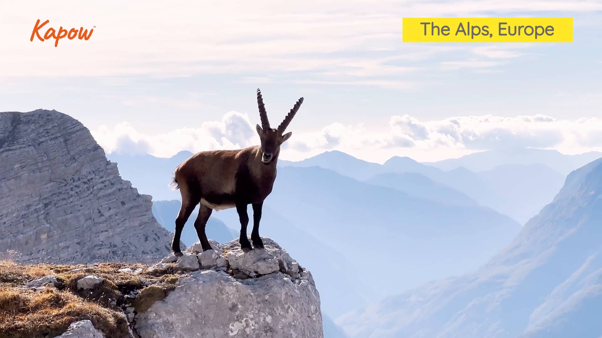 Pupil video: Up high