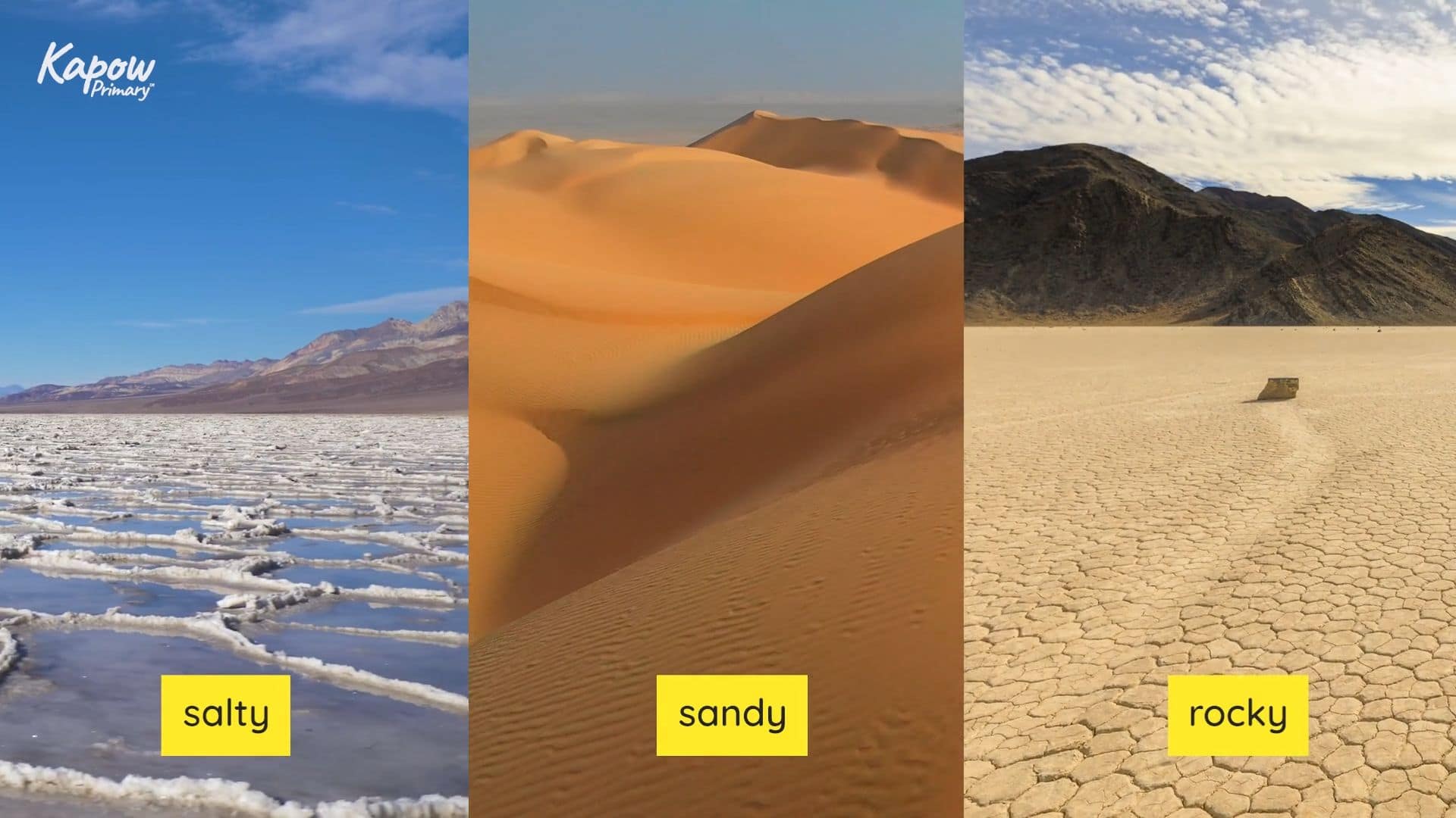 Teacher video: Desert features