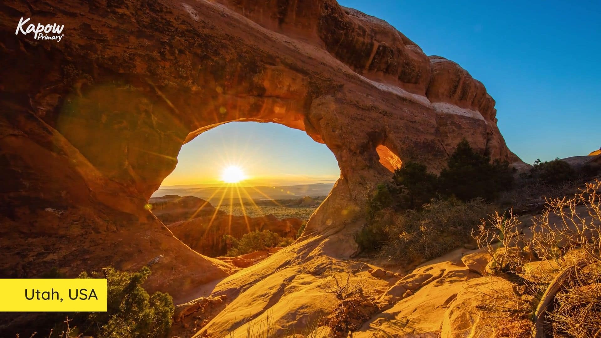 Teacher video: Hot desert biomes