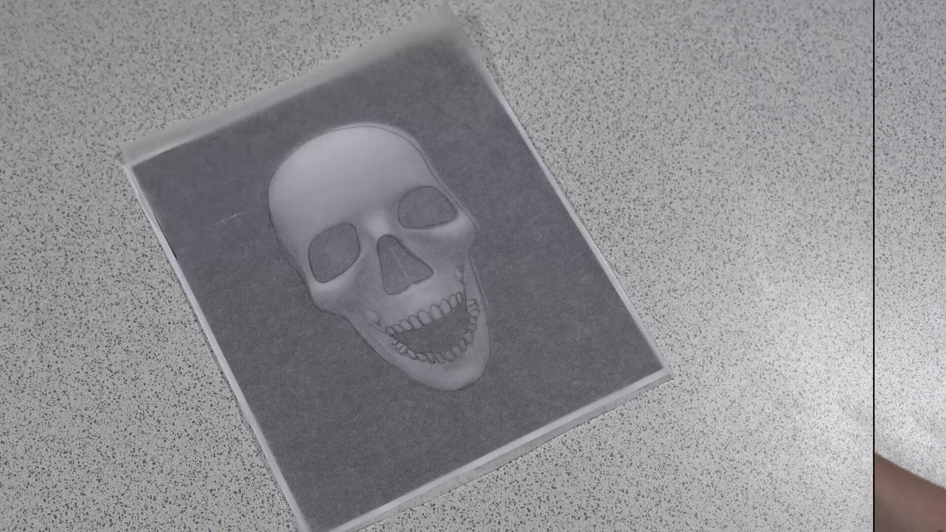 Teacher video: Skulls
