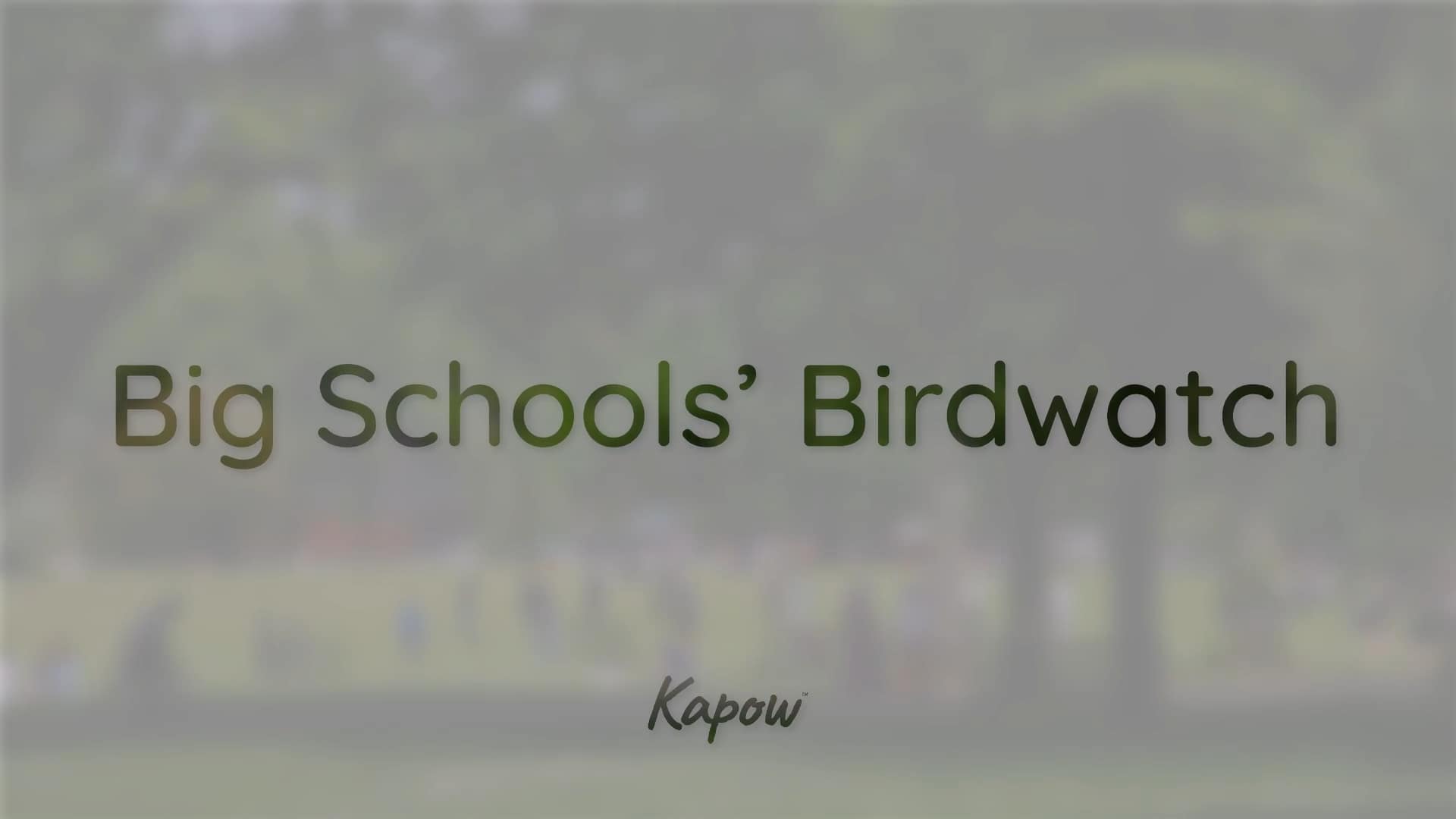 Assembly video: Big Schools’ Birdwatch