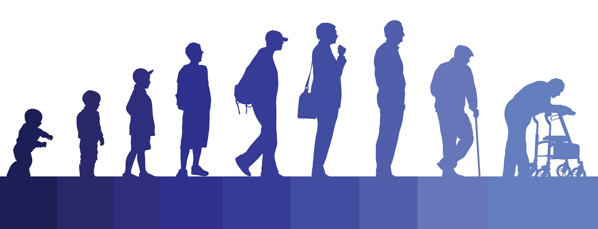 Animals: Human timeline