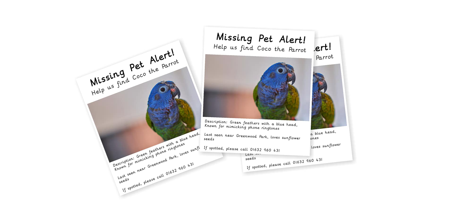 Lesson 3: HTML unplugged