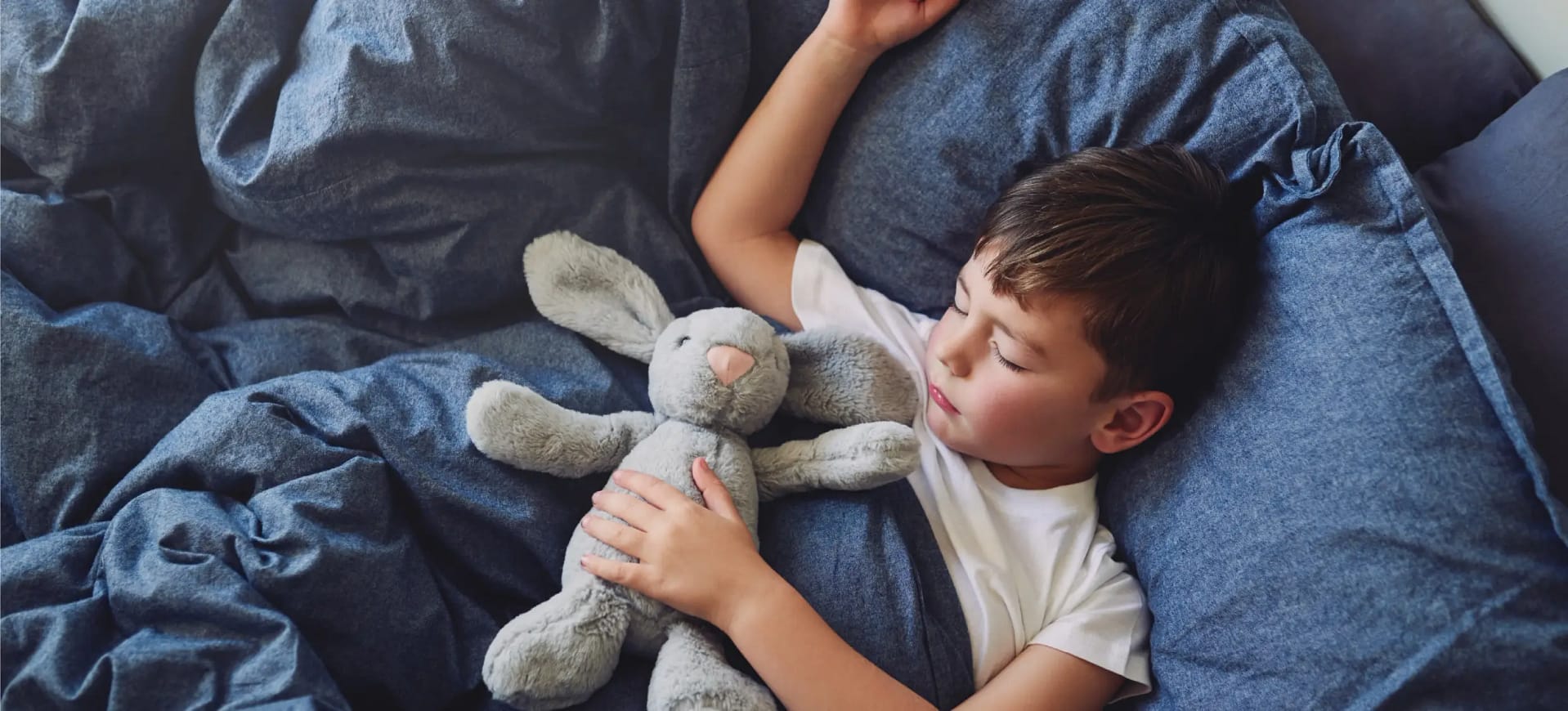 Lesson 2: Why is sleep important?