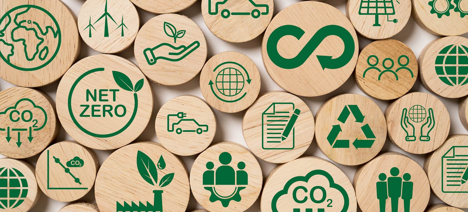 Optional sustainability lesson: What actions can we take to make the world more sustainable?