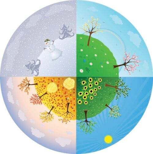 Lesson 4: Habitats and seasonal change