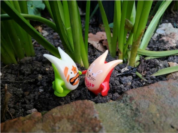 Creating media: Digital imagery