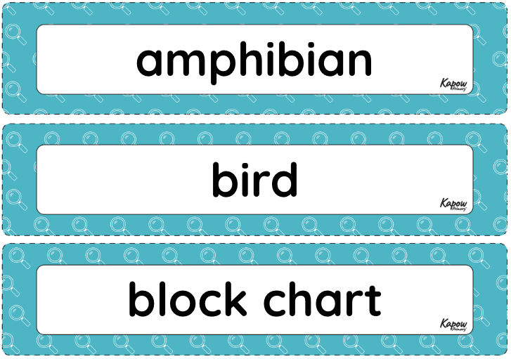 Vocabulary display: Comparing animals