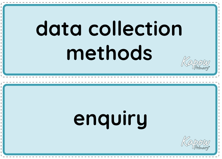 Vocabulary display: Can I carry out an independent fieldwork enquiry?