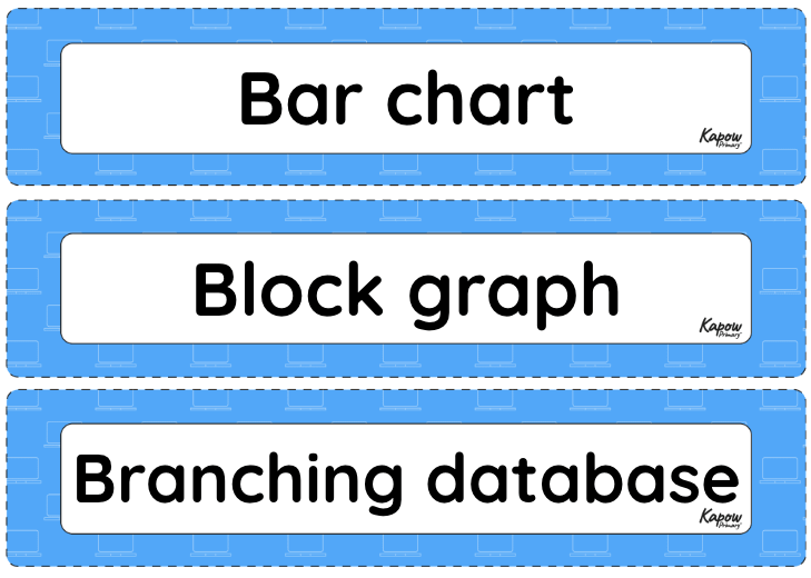 Vocabulary display: Data handling: Introduction to data