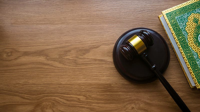 Lesson 1: How are laws created?