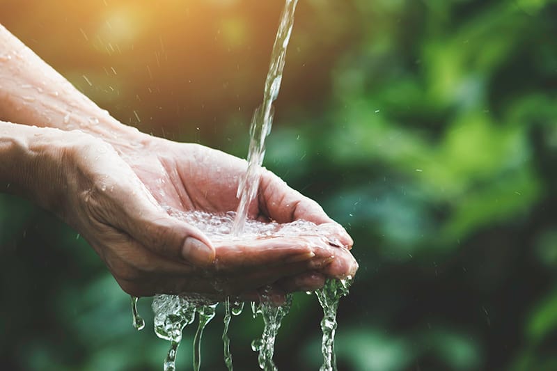 Lesson 1: Why is water important?