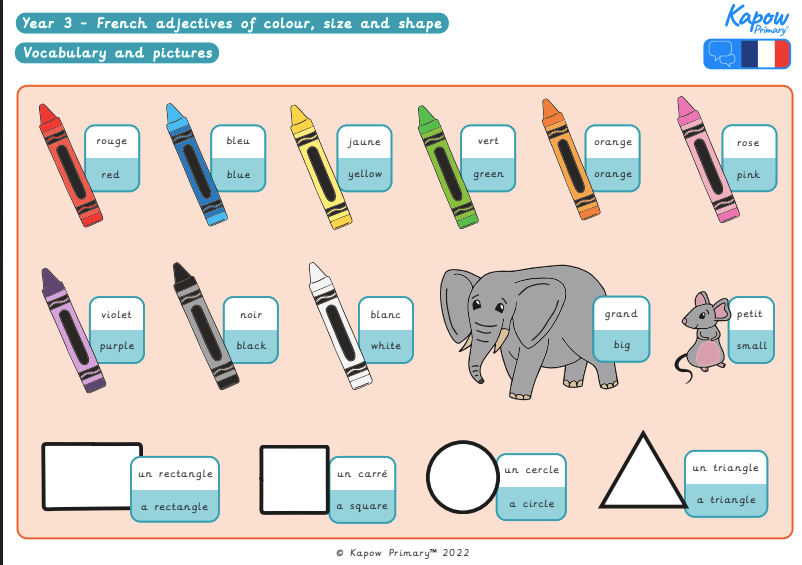 Knowledge organiser: French Y3 – Adjectives of colour, size and shape