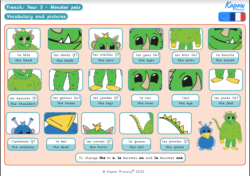 Knowledge organiser: French – Y5 French monster pets
