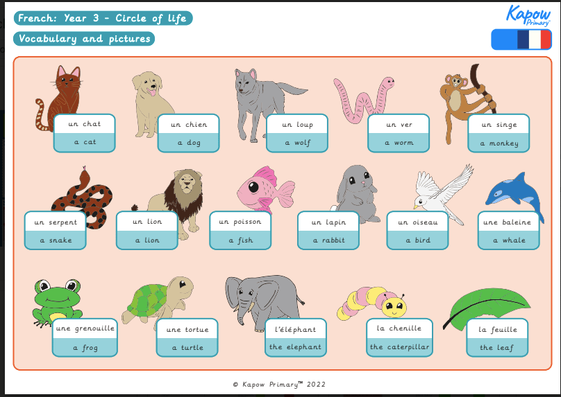 Knowledge organiser: French – Y3 A circle of life in French