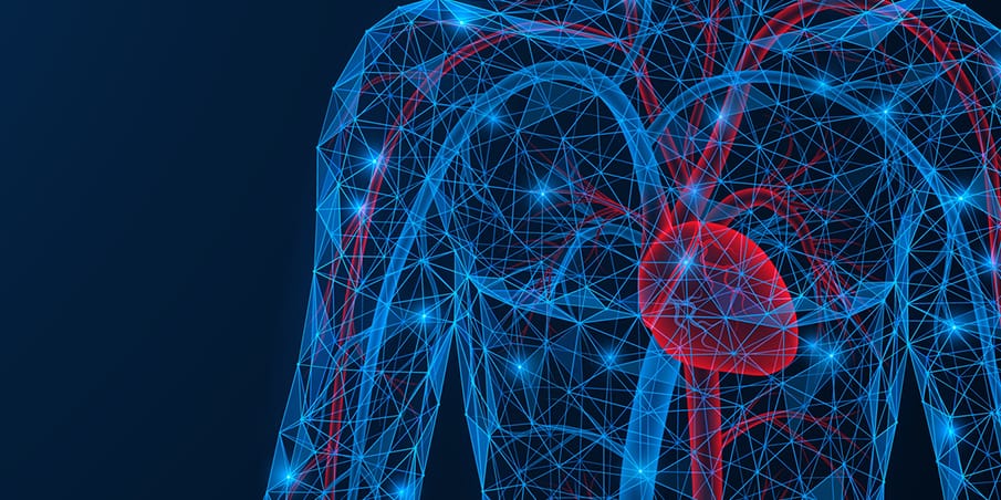 Lesson 2: The heart and circulatory system