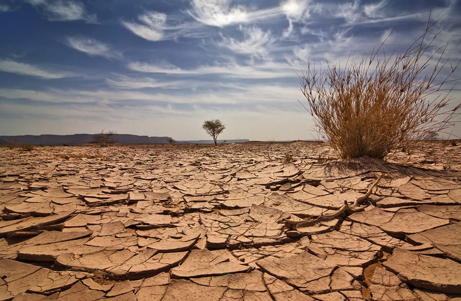 Lesson 1: What is a hot desert biome?