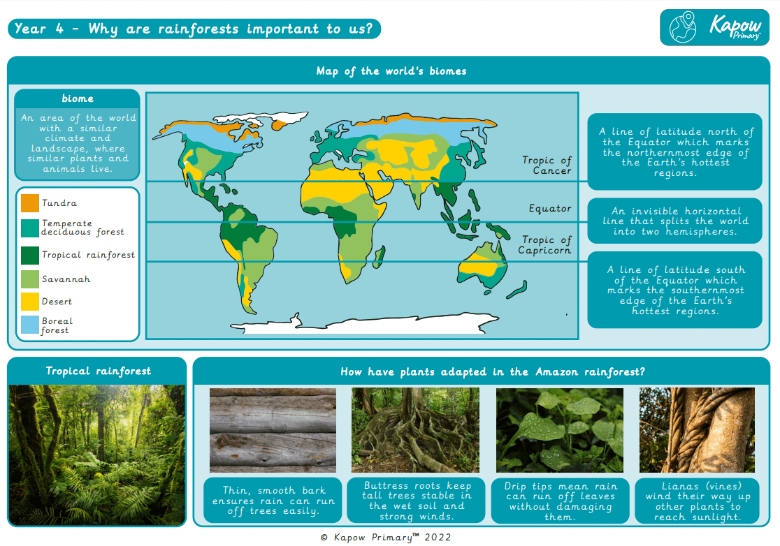 Knowledge organiser Geography Y4 Rainforests Kapow Primary