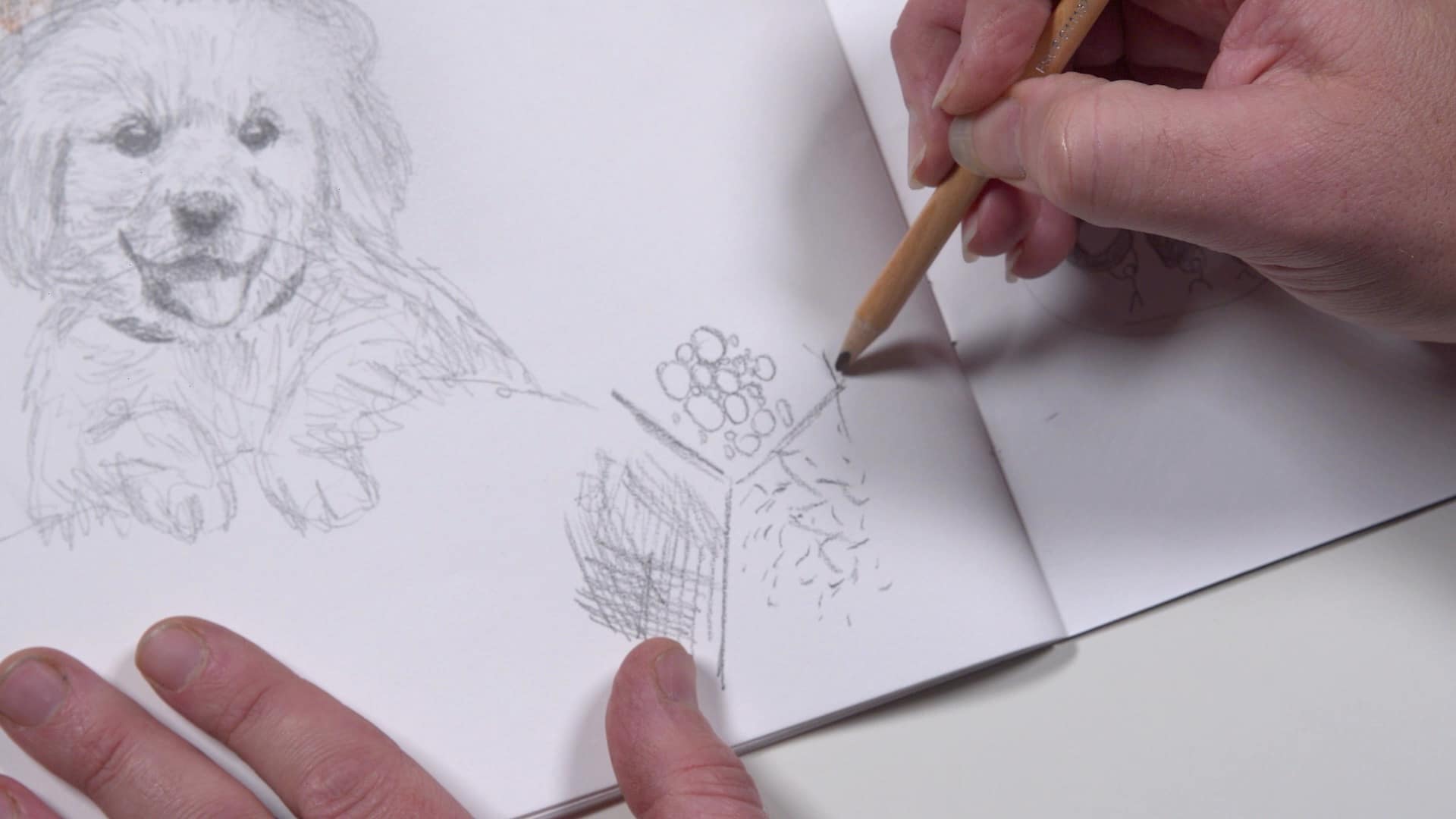 KS1 Y2 Art and design Introduction to Sketchbooks Kapow Primary