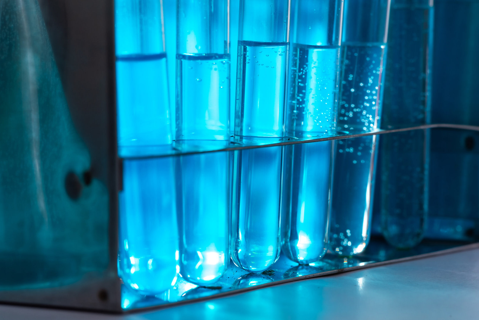 Photobiopreactor