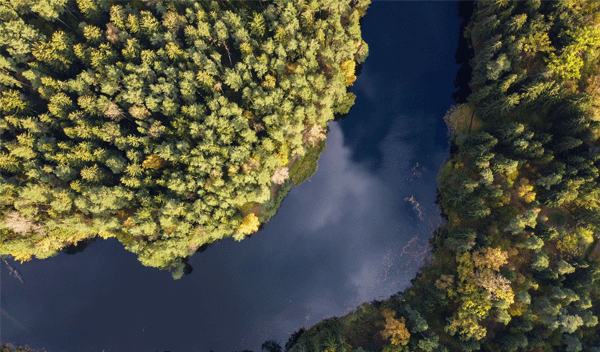 Aerial view of a winding river surrounded by dense, colourful forest in autumn.