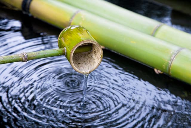 A bamboo water dipper spills water into rippling dark water, with additional bamboo stalks in the background.