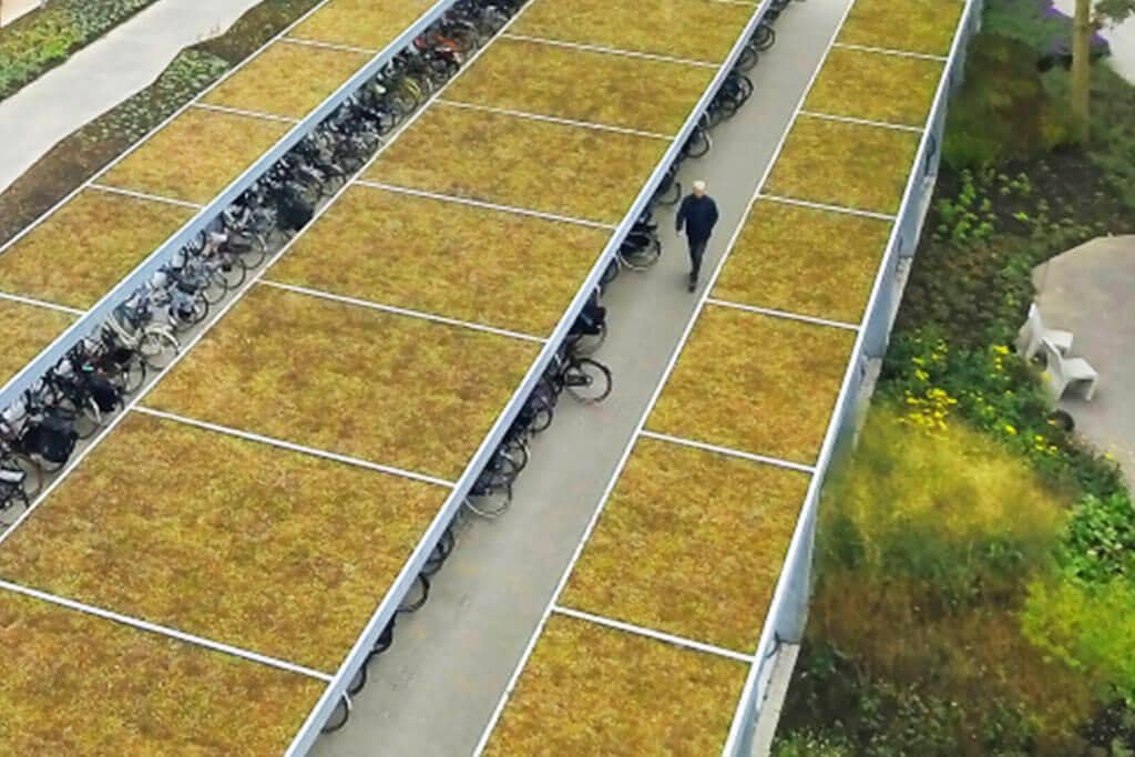 A massive green roofed cycle shelter installation
