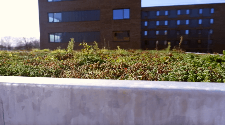 green roof cycle store